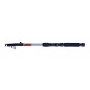 Спінінг рибальський, DrAGON Royal Fish, тест 80-120г, довжина 1,8м